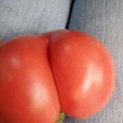 ヒメ日記 2025/11/13 22:40 投稿 まや ギン妻パラダイス京橋店