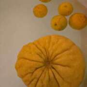 ヒメ日記 2025/11/22 00:16 投稿 まや ギン妻パラダイス京橋店