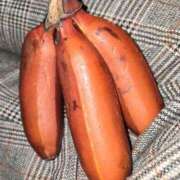 ヒメ日記 2025/12/28 09:39 投稿 まや ギン妻パラダイス京橋店