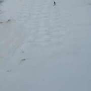 ヒメ日記 2026/03/03 00:08 投稿 まや ギン妻パラダイス京橋店