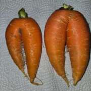 ヒメ日記 2026/03/13 09:27 投稿 まや ギン妻パラダイス京橋店