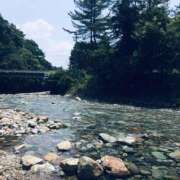 ヒメ日記 2025/11/25 00:29 投稿 みどり 白金プラチナ(ユメオト)