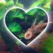 ヒメ日記 2025/05/13 20:32 投稿 しらこ 熟女の風俗最終章 宇都宮店