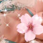 ヒメ日記 2024/12/10 08:28 投稿 鈴森あつこ コウテイ