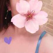 ヒメ日記 2025/01/14 16:17 投稿 鈴森あつこ コウテイ