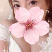 ヒメ日記 2025/01/29 08:45 投稿 鈴森あつこ コウテイ