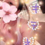 ヒメ日記 2025/03/16 09:36 投稿 鈴森あつこ コウテイ