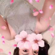 ヒメ日記 2025/03/25 13:05 投稿 鈴森あつこ コウテイ