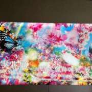 ヒメ日記 2025/03/28 15:25 投稿 鈴森あつこ コウテイ