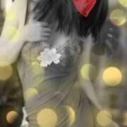 ヒメ日記 2025/03/30 00:25 投稿 鈴森あつこ コウテイ