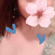 ヒメ日記 2025/04/12 23:35 投稿 鈴森あつこ コウテイ