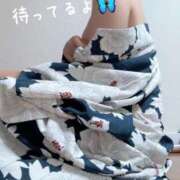 ヒメ日記 2025/07/14 05:15 投稿 鈴森あつこ コウテイ