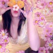 ヒメ日記 2025/10/28 14:25 投稿 鈴森あつこ コウテイ