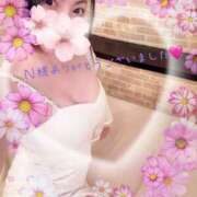 ヒメ日記 2025/12/29 11:56 投稿 鈴森あつこ コウテイ