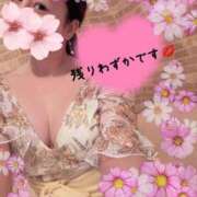 鈴森あつこ 残りわずか💚✨ コウテイ