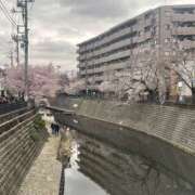 ヒメ日記 2025/04/02 17:18 投稿 ゆめ One More奥様　厚木店