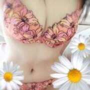 ヒメ日記 2025/04/28 14:22 投稿 あずさ かぐや本舗