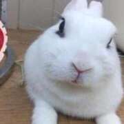 ヒメ日記 2025/11/15 06:07 投稿 まこと ベイキュート