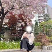 ヒメ日記 2025/11/11 12:07 投稿 成美 美桜-MIO- Casual Rich 5（カジュアルリッチファイブ）