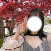 ヒメ日記 2025/11/14 09:21 投稿 成美 美桜-MIO- Casual Rich 5（カジュアルリッチファイブ）