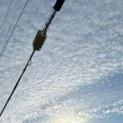 ヒメ日記 2025/11/18 08:22 投稿 成美 美桜-MIO- Casual Rich 5（カジュアルリッチファイブ）