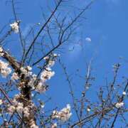 ヒメ日記 2026/03/27 08:30 投稿 成美 美桜-MIO- Casual Rich 5（カジュアルリッチファイブ）