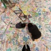 ヒメ日記 2026/03/23 20:16 投稿 深田 心菜-KOKONA- Casual Rich 5（カジュアルリッチファイブ）