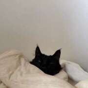 ヒメ日記 2026/04/08 08:01 投稿 深田 心菜-KOKONA- Casual Rich 5（カジュアルリッチファイブ）