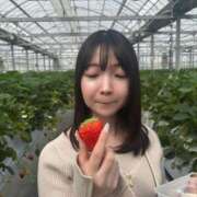 ヒメ日記 2025/03/14 11:21 投稿 そらね まだ舐めたくて学園渋谷校〜舐めたくてグループ〜