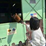 ヒメ日記 2025/04/19 12:50 投稿 そらね まだ舐めたくて学園渋谷校〜舐めたくてグループ〜