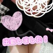 ヒメ日記 2025/04/06 17:22 投稿 かんな clubさくら京橋店