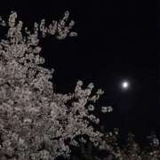 ヒメ日記 2025/04/14 09:33 投稿 にぃな セクシー(長崎)