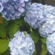 ヒメ日記 2025/06/15 12:12 投稿 にぃな セクシー(長崎)