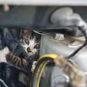 ヒメ日記 2026/01/13 19:30 投稿 ひびき 名古屋痴女性感フェチ倶楽部