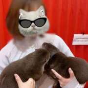 ヒメ日記 2026/01/24 17:41 投稿 ひびき 名古屋痴女性感フェチ倶楽部