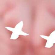 ヒメ日記 2025/07/26 20:25 投稿 ひなの 名古屋痴女性感フェチ倶楽部