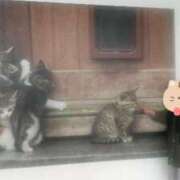 ヒメ日記 2025/02/24 11:54 投稿 小林紀香 五十路マダム金沢店