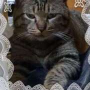 ヒメ日記 2026/02/22 05:06 投稿 小林紀香 五十路マダム金沢店