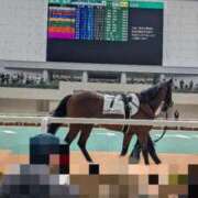 ヒメ日記 2026/04/13 03:42 投稿 小林紀香 五十路マダム金沢店