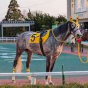 ヒメ日記 2026/04/22 13:54 投稿 小林紀香 五十路マダム金沢店