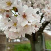 ヒメ日記 2025/03/23 13:48 投稿 とわ 熟女の風俗最終章 高崎店