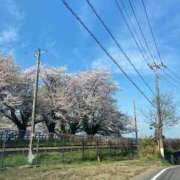 ヒメ日記 2025/04/13 12:34 投稿 とわ 熟女の風俗最終章 高崎店