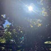 ヒメ日記 2025/05/07 13:12 投稿 とわ 熟女の風俗最終章 高崎店