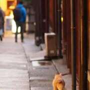 ヒメ日記 2025/03/09 18:29 投稿 ともみ 熟女の風俗最終章 相模原店