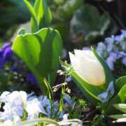 ヒメ日記 2025/05/01 20:30 投稿 ともみ 熟女の風俗最終章 相模原店