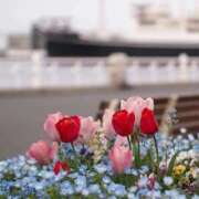 ともみ 本日の合言葉😊 熟女の風俗最終章 相模原店