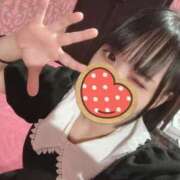 ヒメ日記 2025/02/10 07:02 投稿 くみ 激安ドットコム