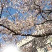 ヒメ日記 2026/04/17 20:27 投稿 ルリ ファッションヘルス カリスマ