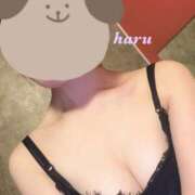 ヒメ日記 2025/02/22 16:17 投稿 はる 新橋Sweets（スウィーツ）