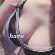 ヒメ日記 2025/05/02 16:46 投稿 はる 新橋Sweets（スウィーツ）